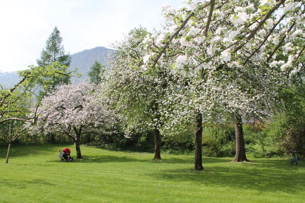 Hotel Hochsteg Guetl | Traunsee Salzkammergut エーベンゼー 部屋 写真